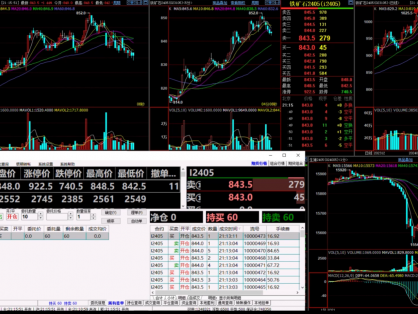 蜀都炒客大佬实盘交易录屏-铁矿高频锁单!